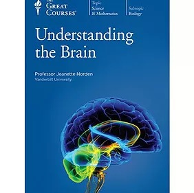 Understanding The Brain